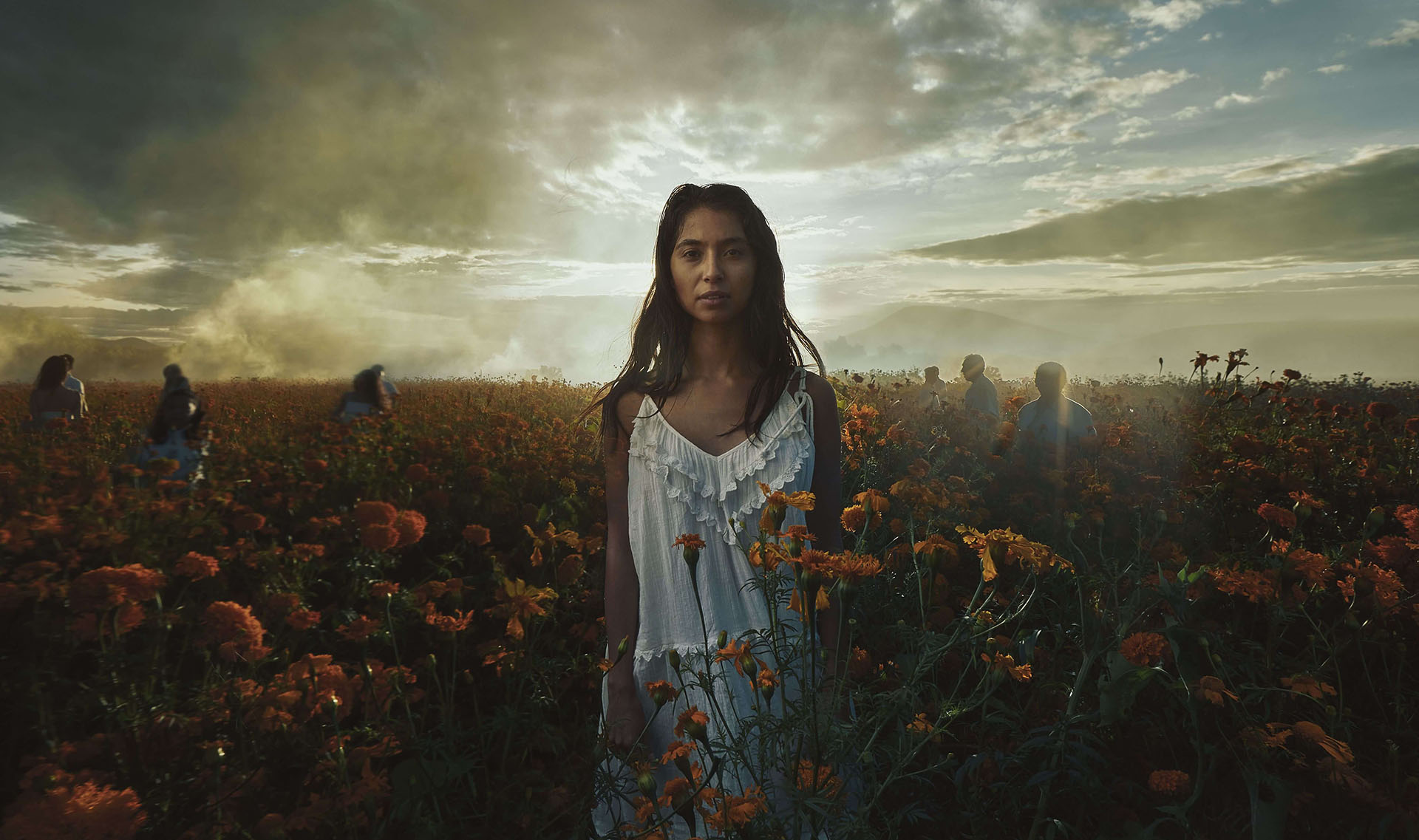 A woman standing in the middle of a field full of flowers