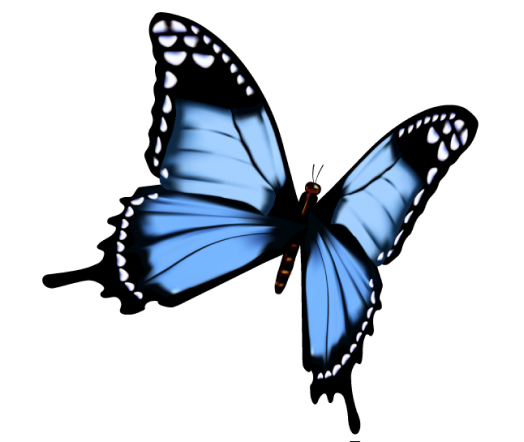 A blue butterfly