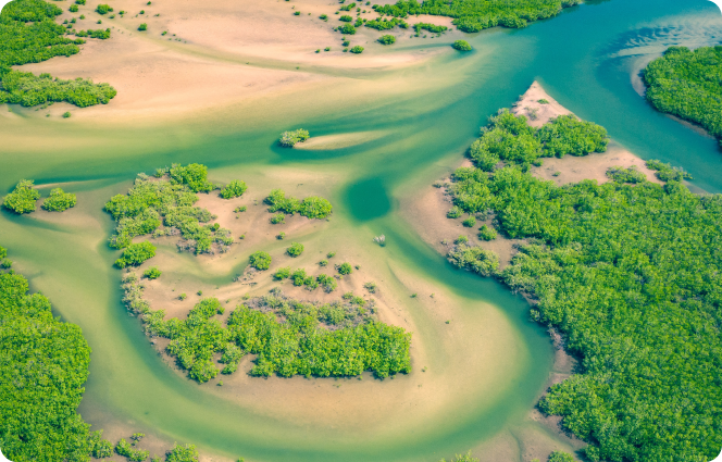 A winding river with lush green shrubbery