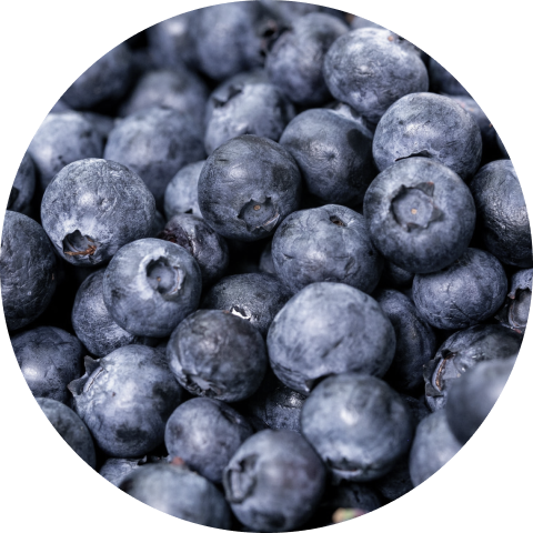 blueberries HD