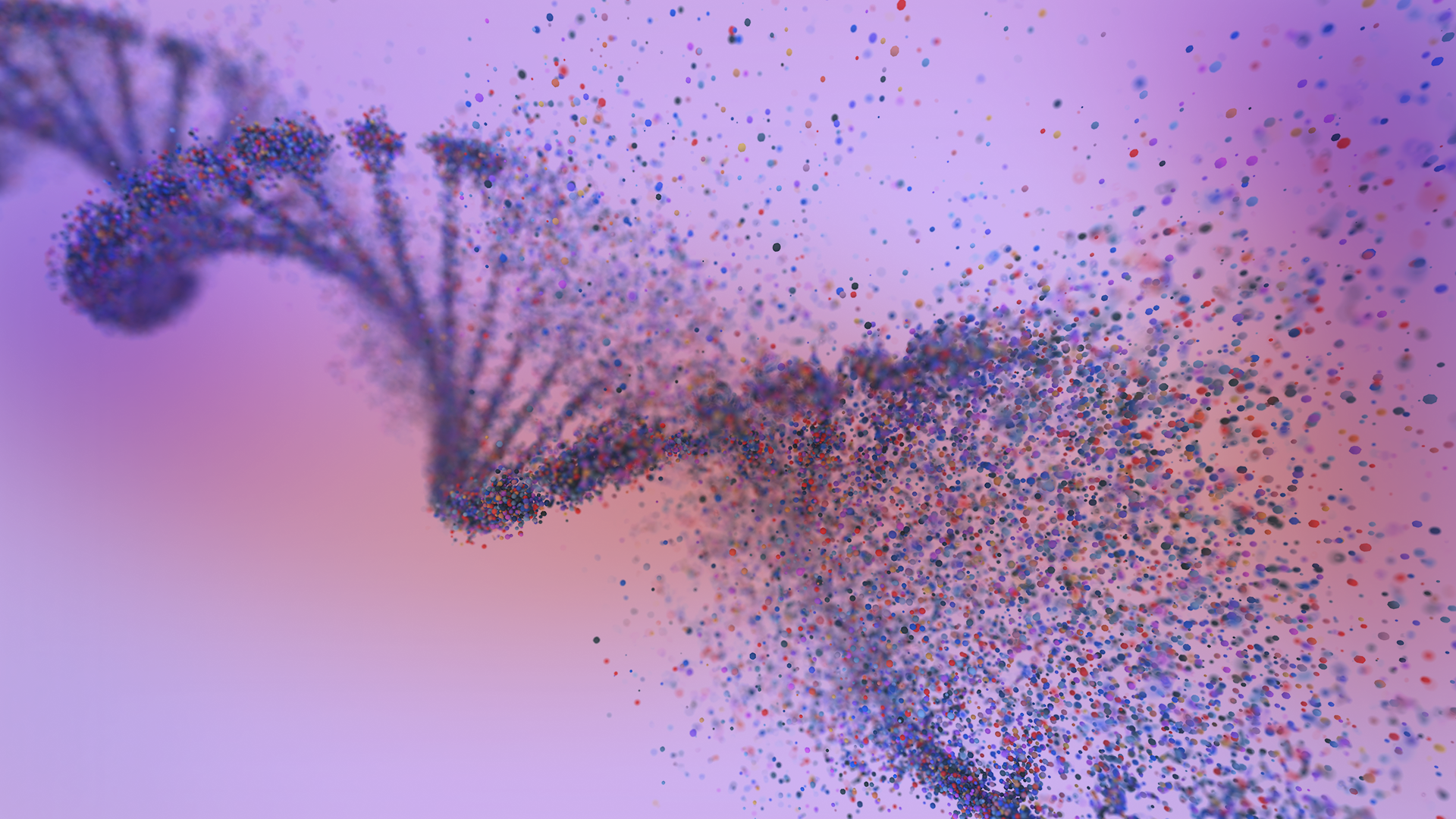 A vibrant, abstract depiction of a DNA strand, composed of numerous small, colorful particles. The double helix structure is visible on the left, rendered in shades of purple and blue. As it extends to the right, the DNA strand appears to dissolve into a scattered burst of individual particles, creating a dynamic, exploding effect. These particles are a mix of red, blue, green, and yellow, set against a soft, gradient background that transitions from a light purple on the left to a warm pinkish-orange.