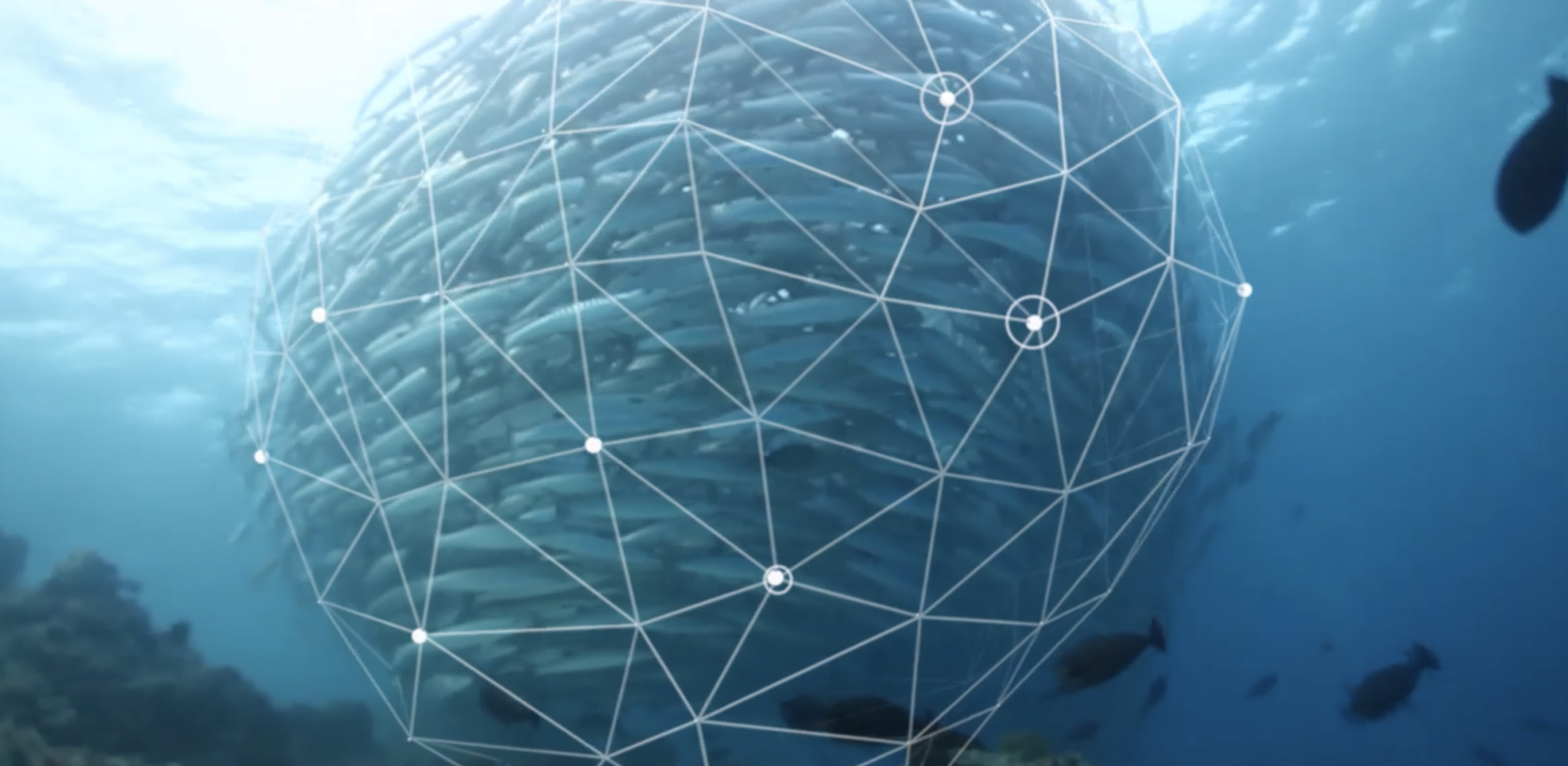 Thomas Strerath’s Data Advocacy for a New Era