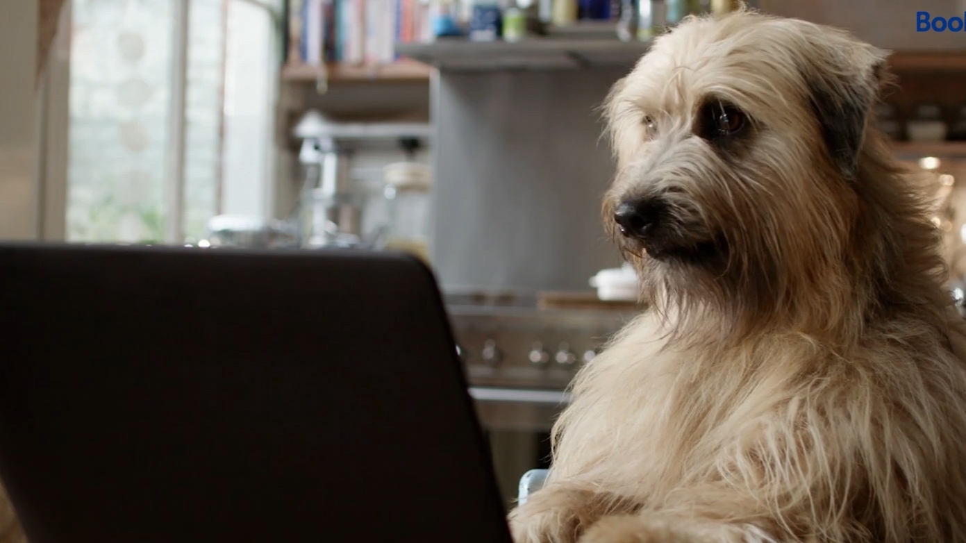 Giraffe#1_Intro.00_00_08_23.Still005