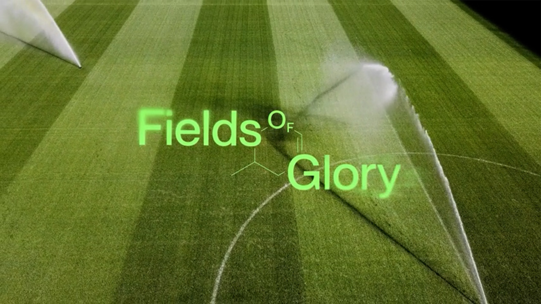 The image shows a large, vibrant green field being actively watered by sprinklers, with overlaid glowing text that reads "Fields of Glory."