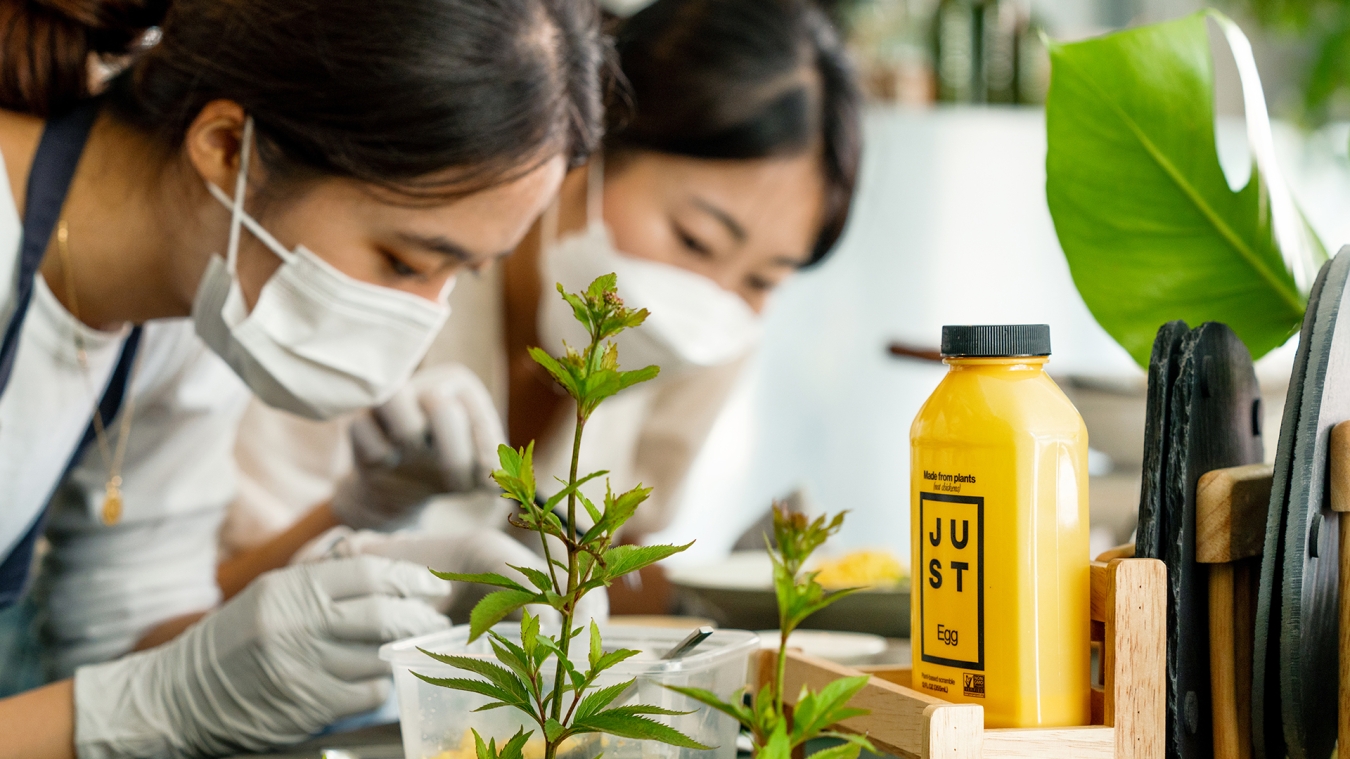 Two chefs work on the presentation of JUST Egg dishes