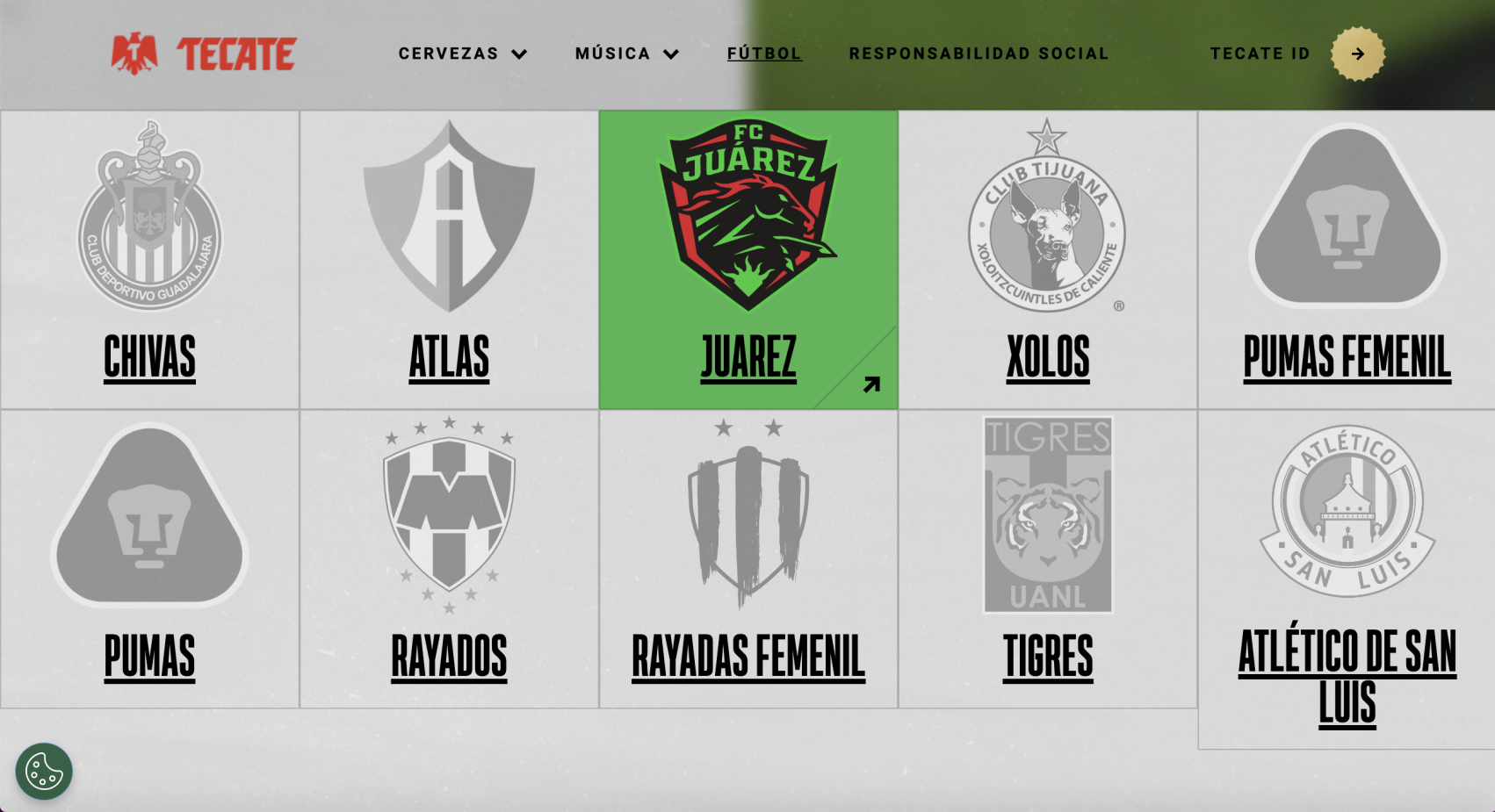 Tecate Futbol website landing page showing team logos