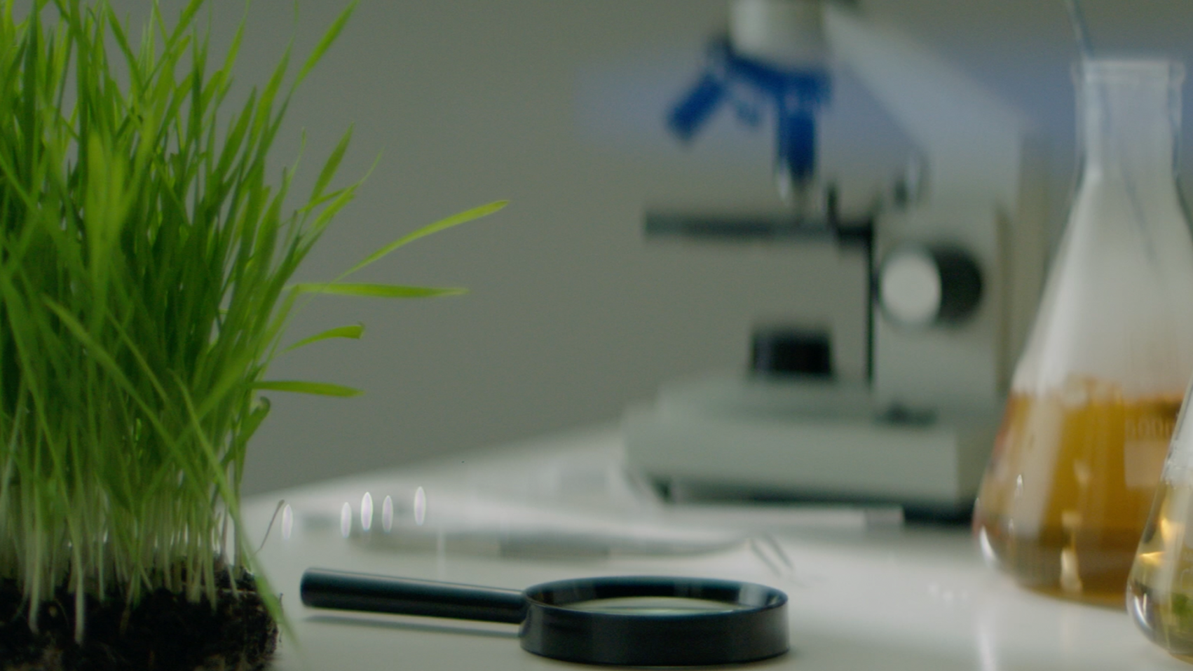 The image shows a laboratory workspace with a petri dish containing green grass, a microscope, and various glass containers with liquids or chemicals.