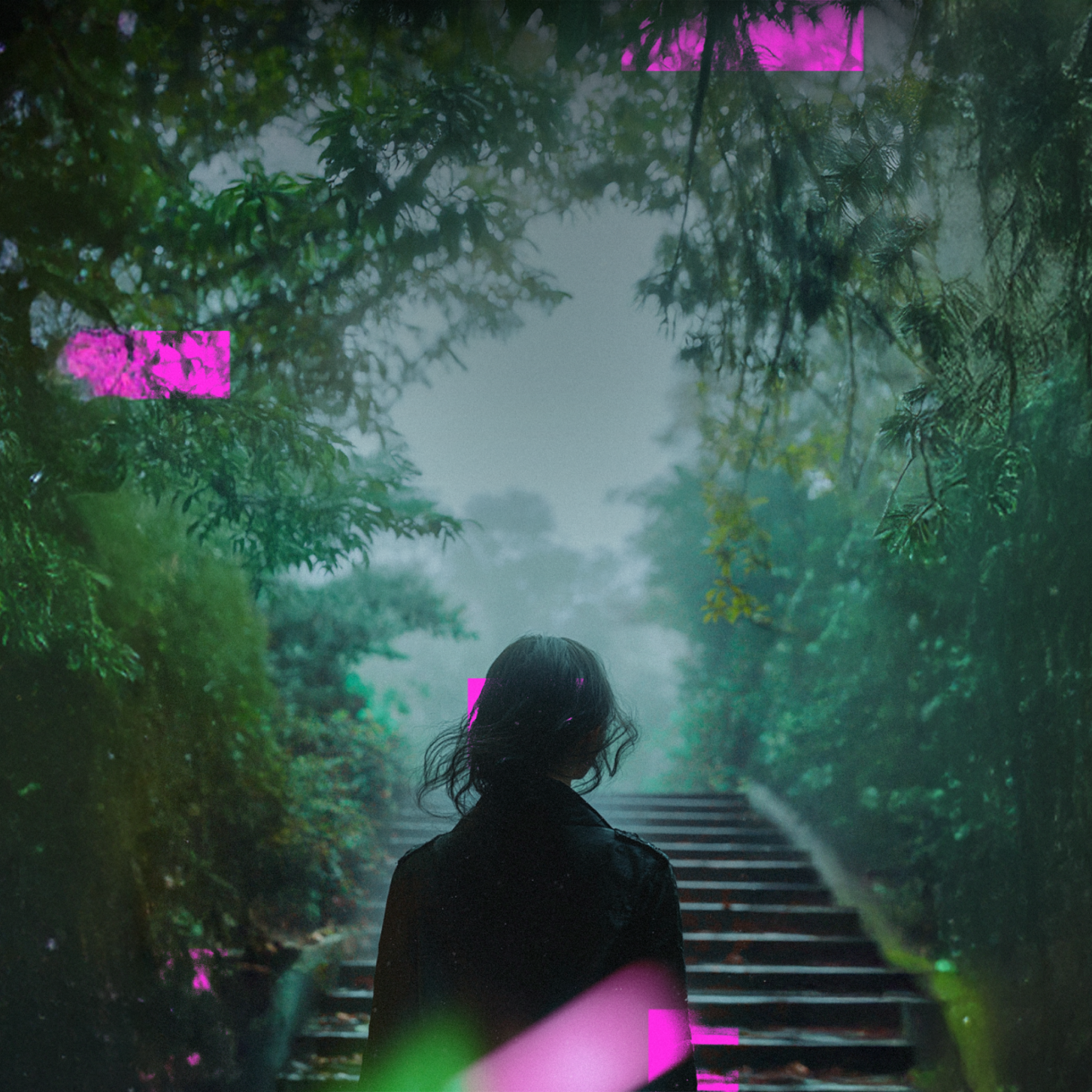 woman walking up stairs to a clearing in a forest