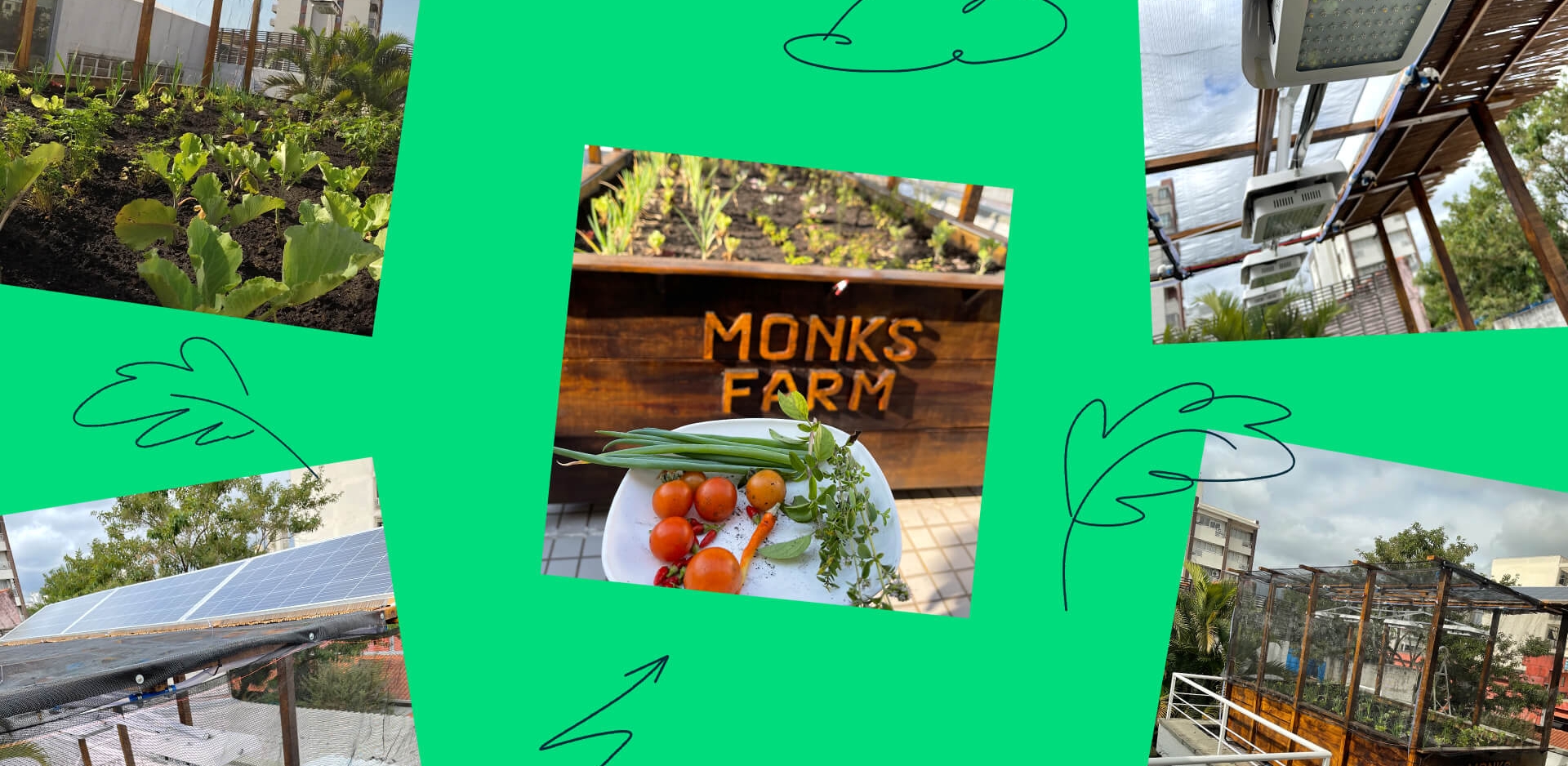 A collage of the media.monks garden on an office terrace in Brazil