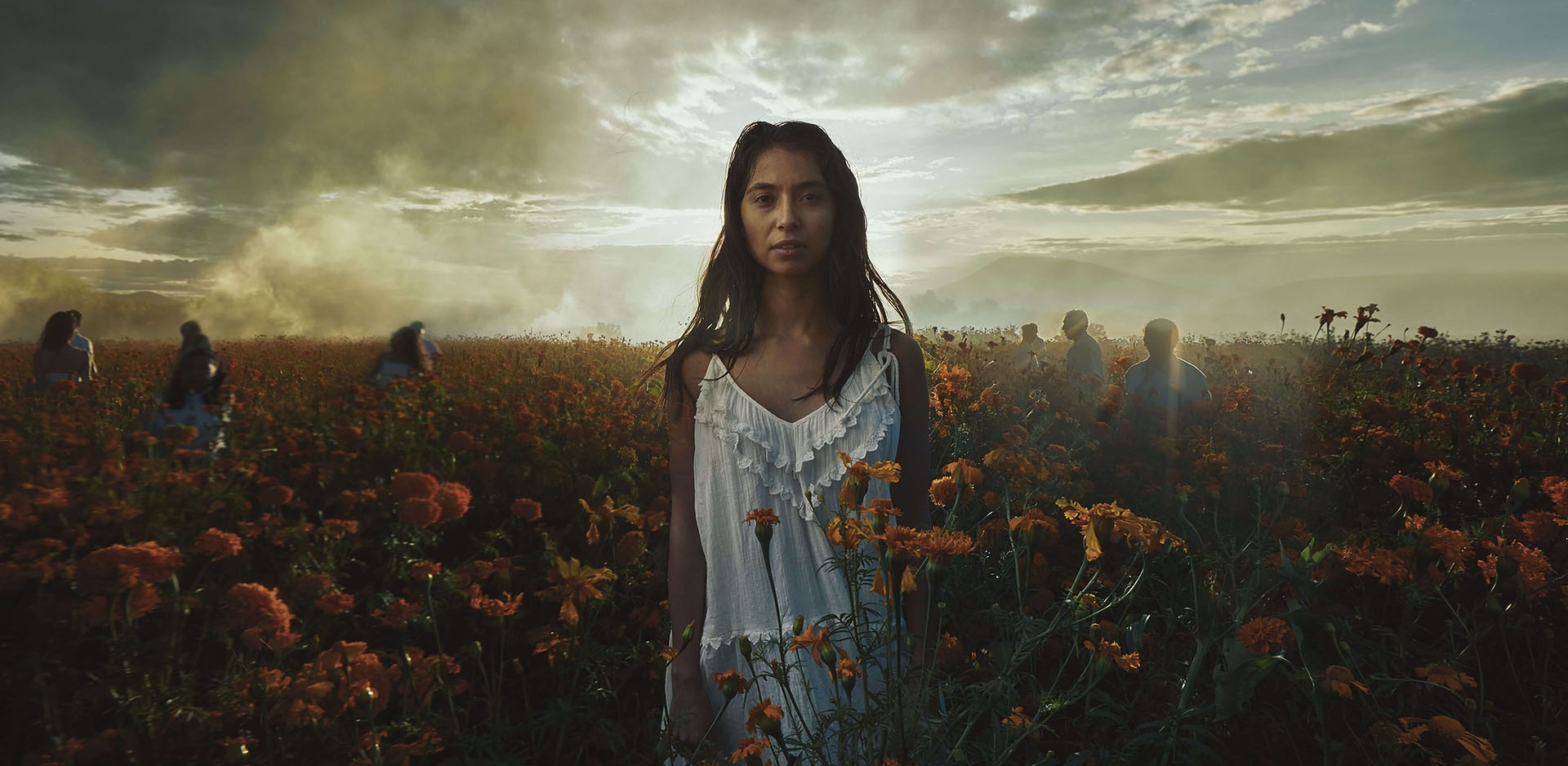 A woman standing in the middle of a field full of flowers