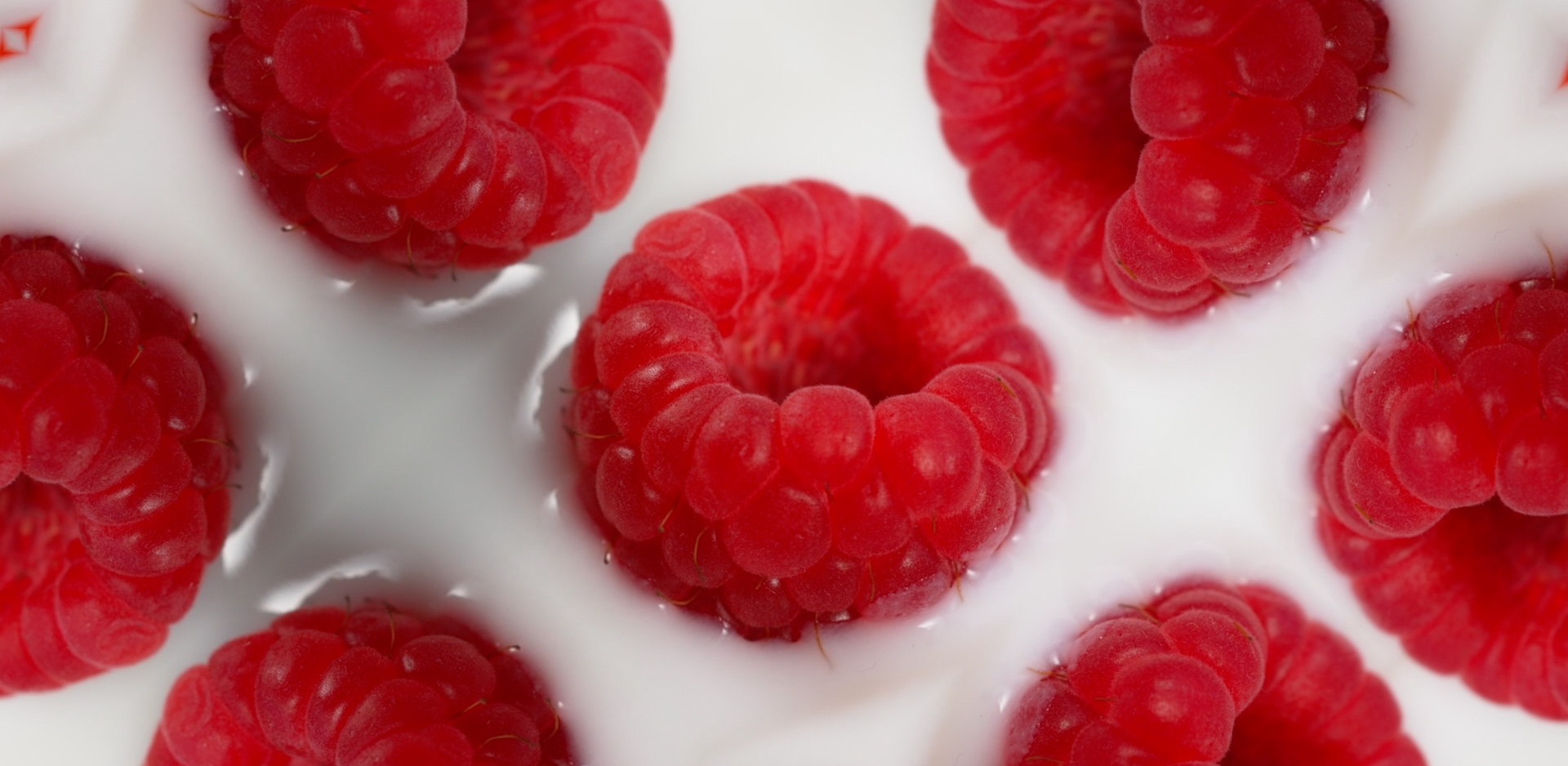 bright red raspberries in yogurt