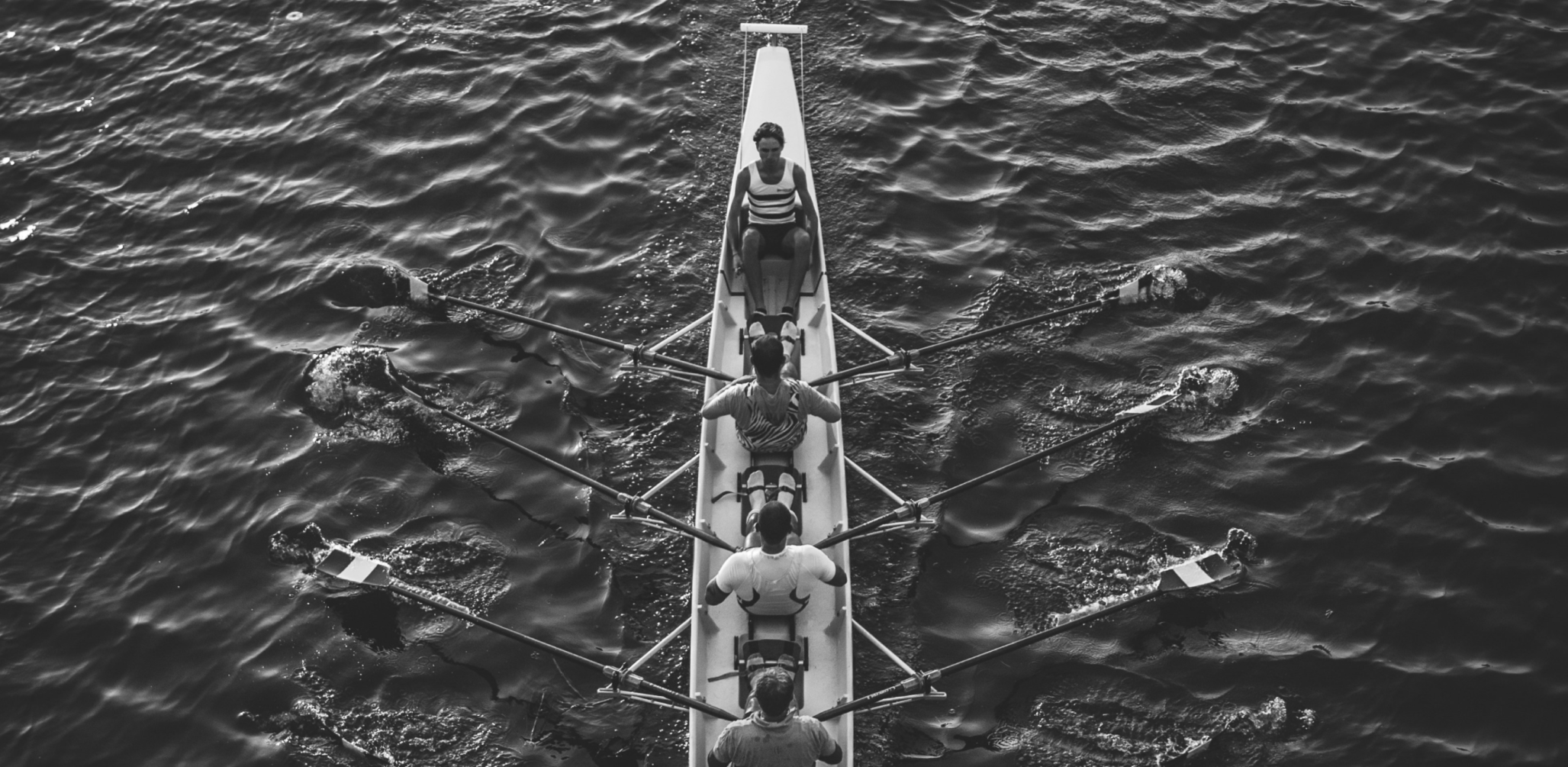 Rowing image to show collaboration