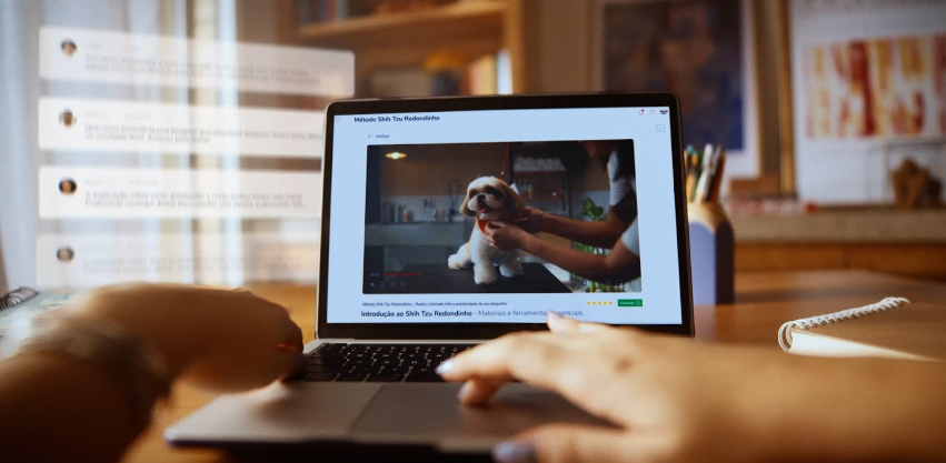 computer with a shitzu on screen