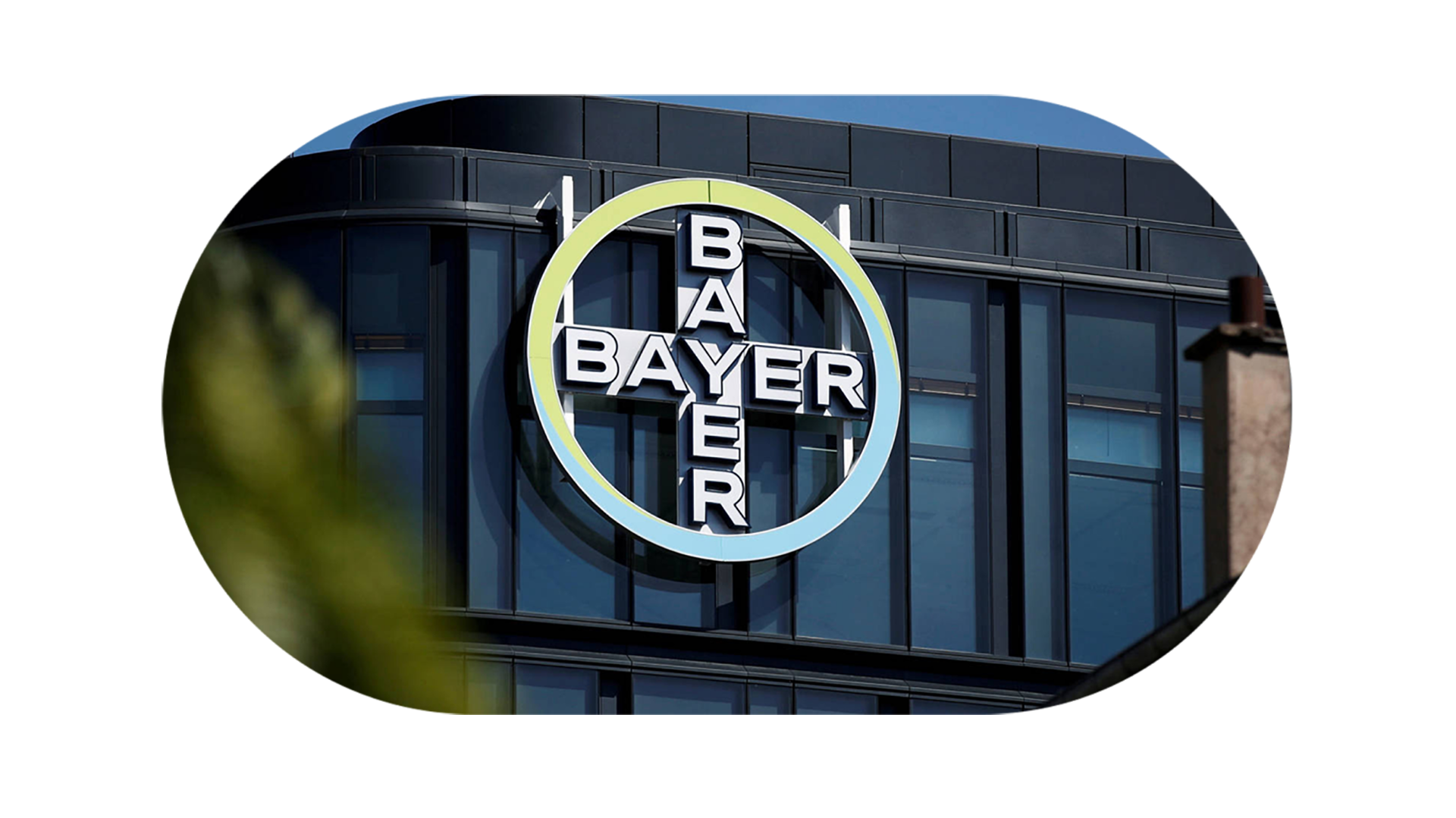 Bayer logo on a building