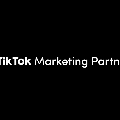 tiktok marketing program
