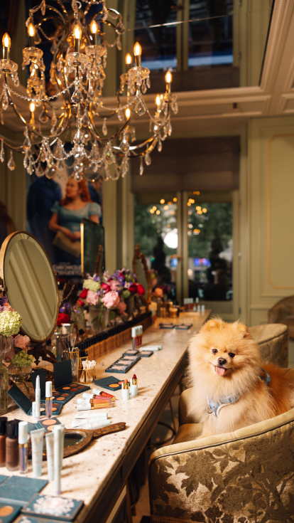 The image features a fluffy Pomeranian seated at an elegant makeup vanity adorned with cosmetics and flowers, beneath a sparkling chandelier, creating a luxurious and charming atmosphere.