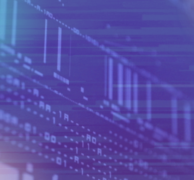 image of a computer screen with text, overlaid with purple