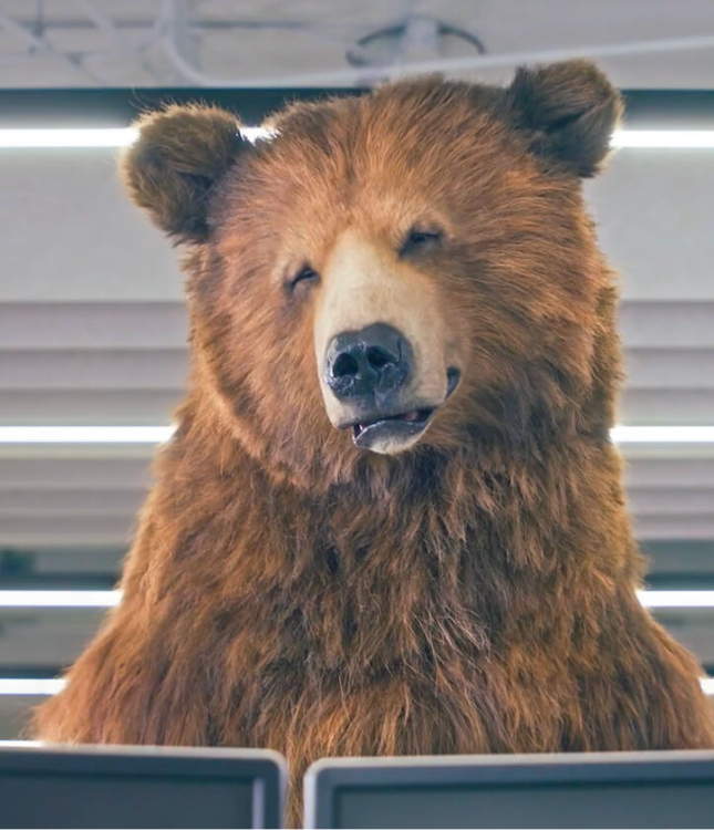 A bear standing over a cubicle in an office.