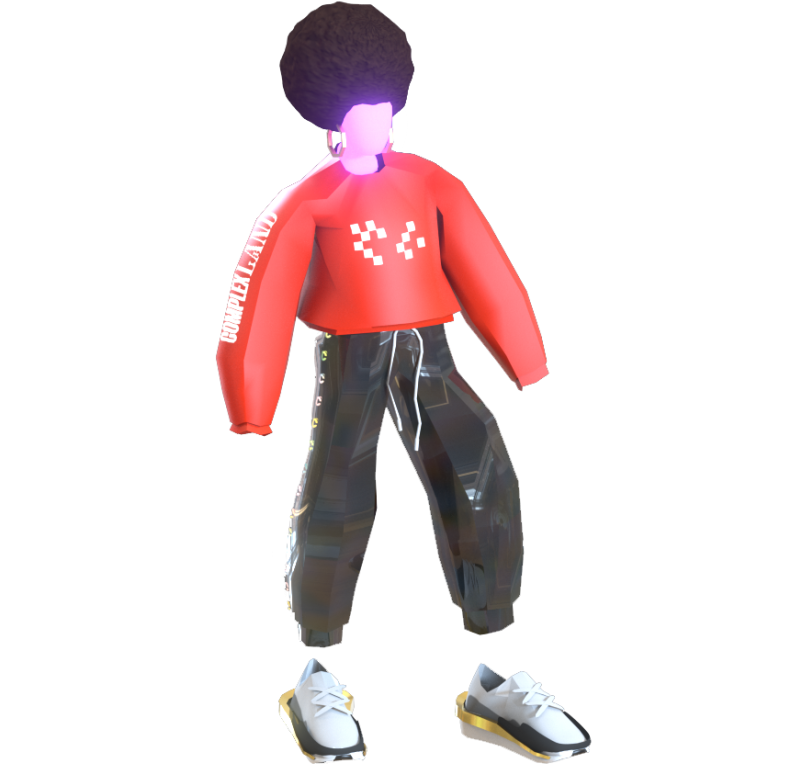 An avatar in ComplexLand