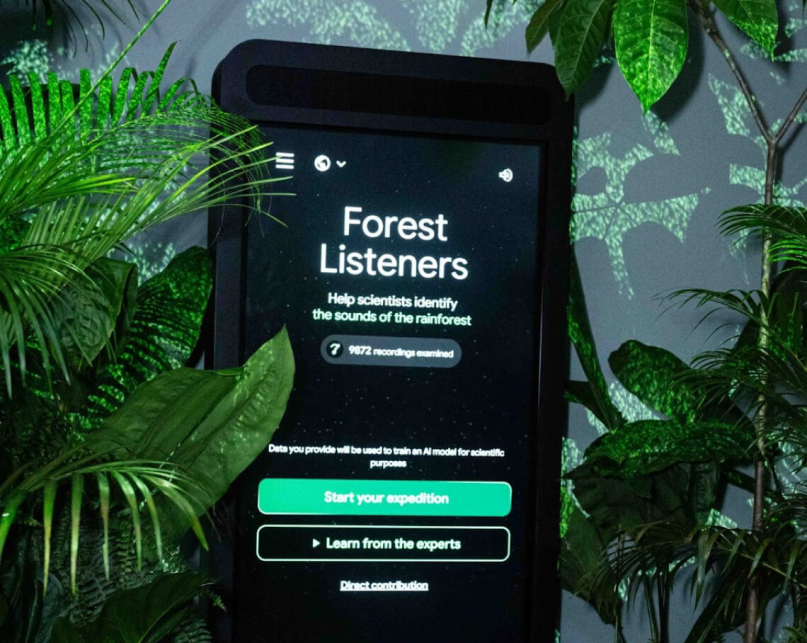 A mobile phone surrounded with jungle vegetation with the Forest Listeners AI app on the screen. 