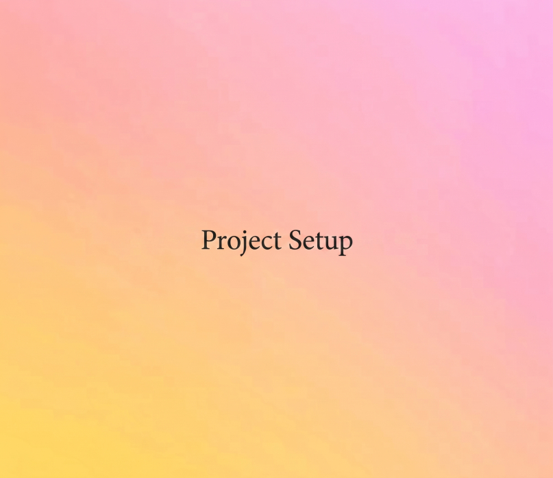 project setup 