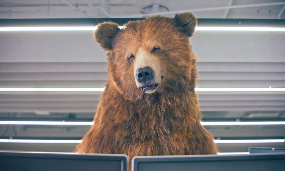 A bear standing over a cubicle in an office.