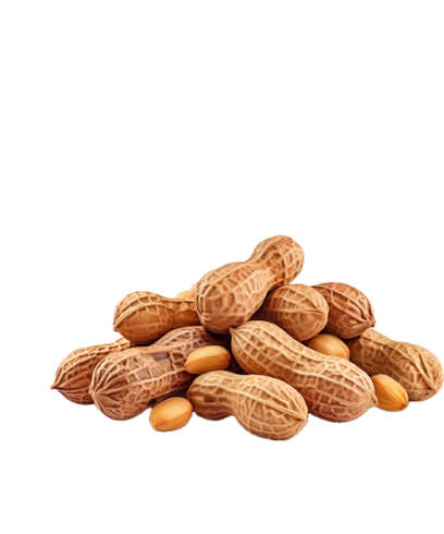 Peanuts in a pile