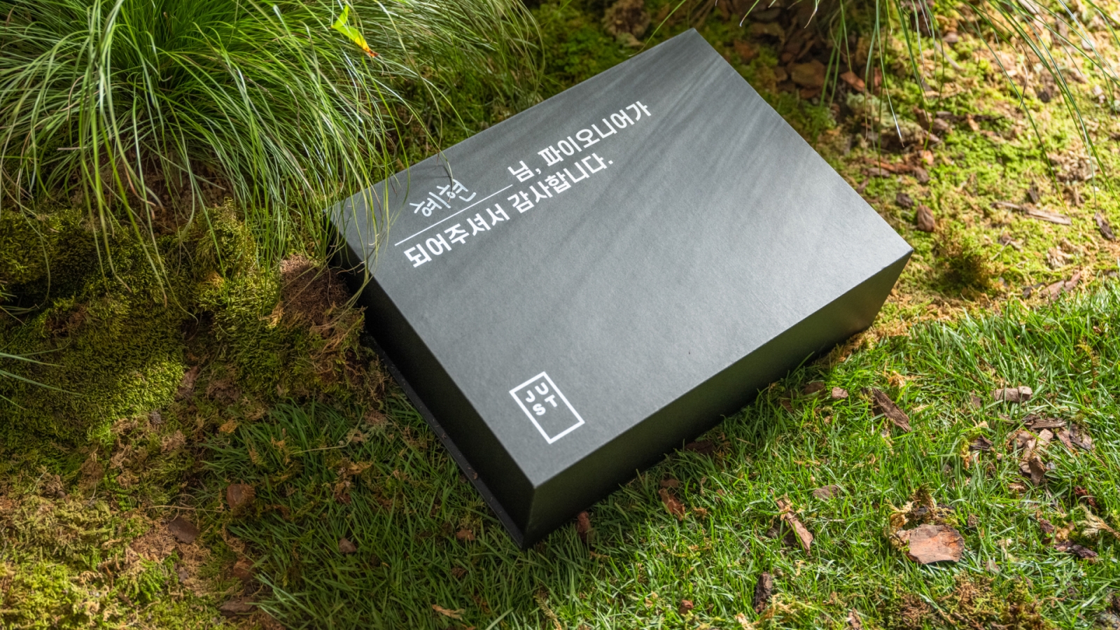 A black care package on a mossy ground
