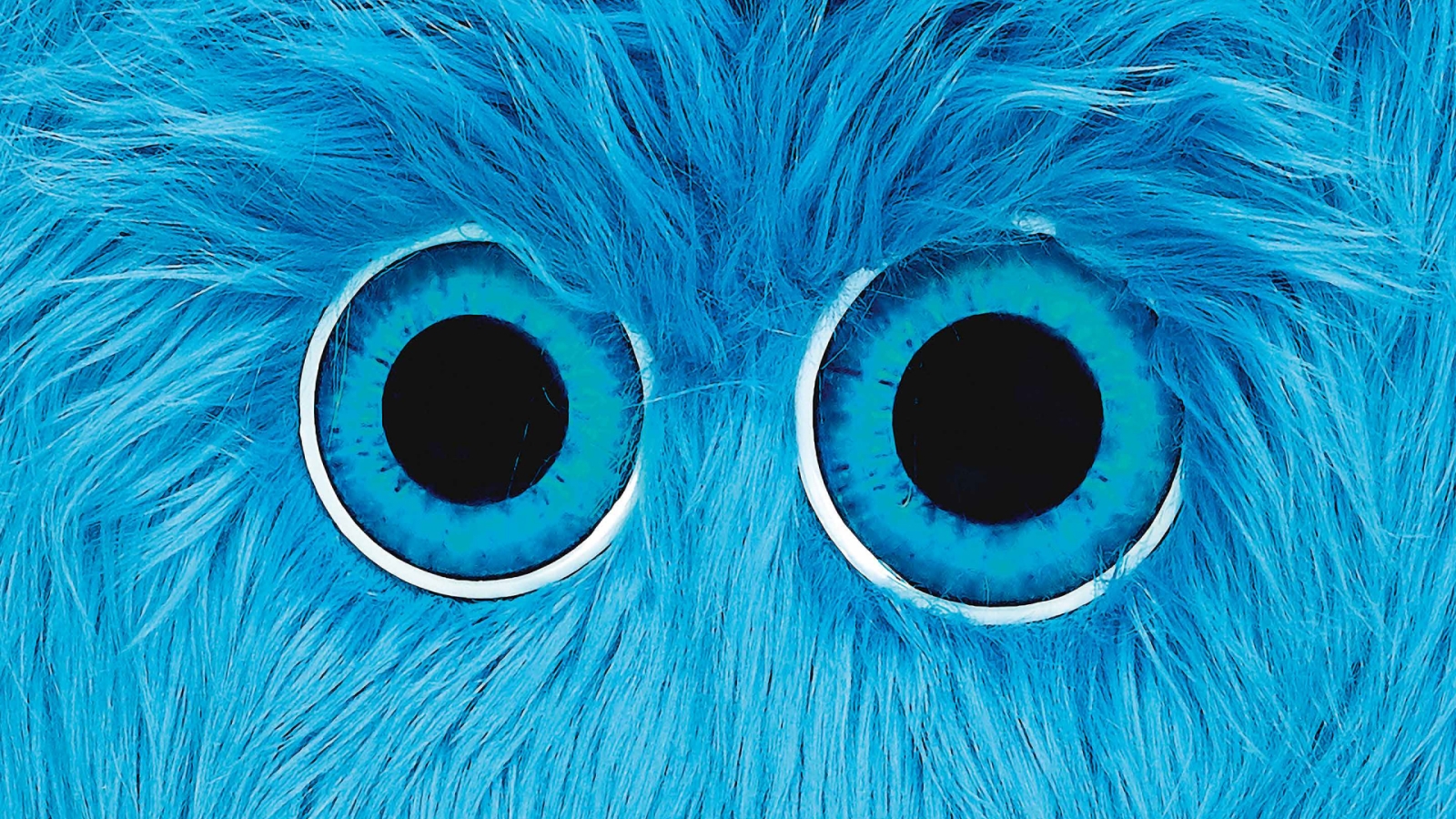 Animated image with a closeup of two big round eyes in a face with bright blue hair.