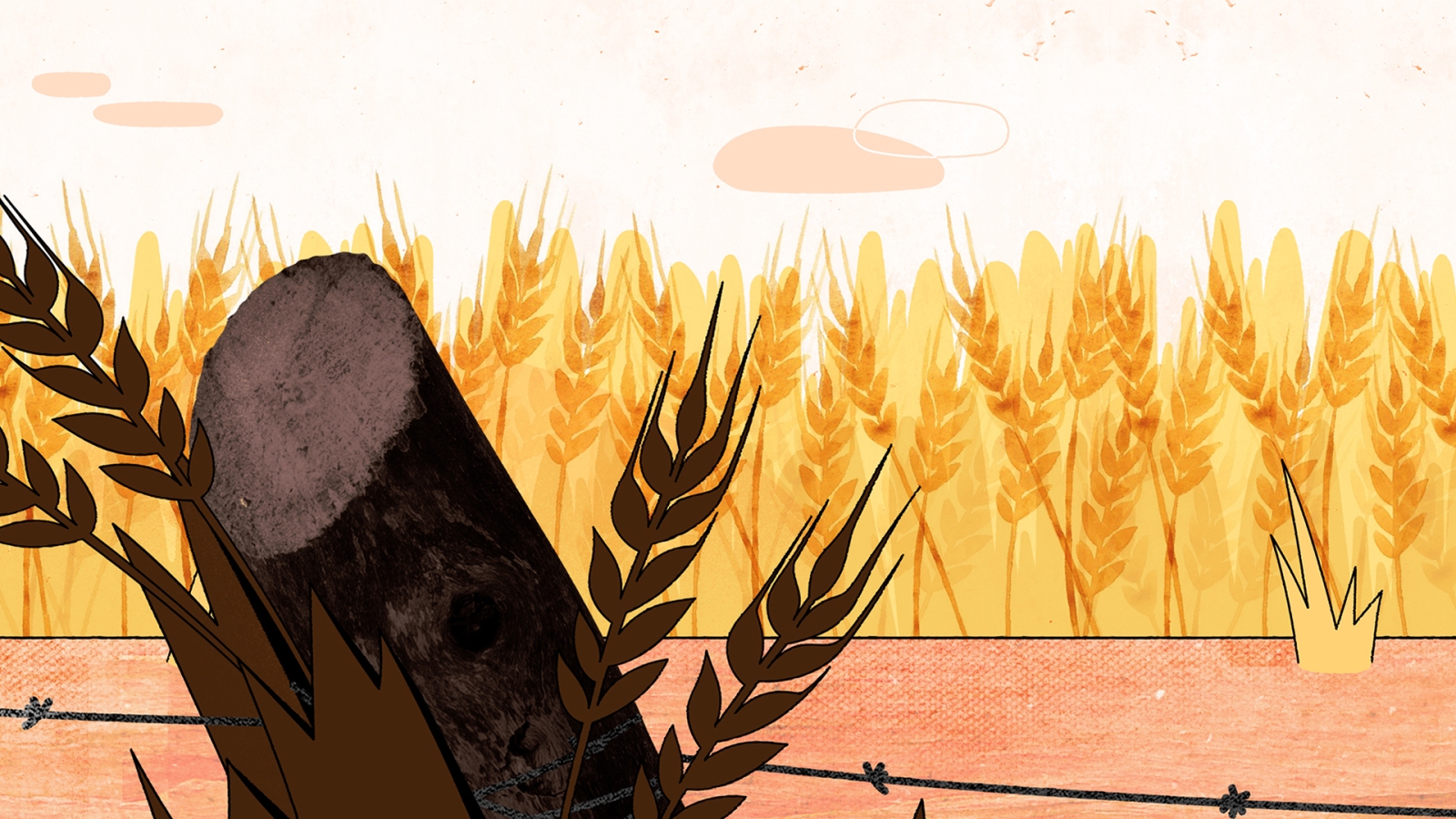 Illustration of a yellow corn field.